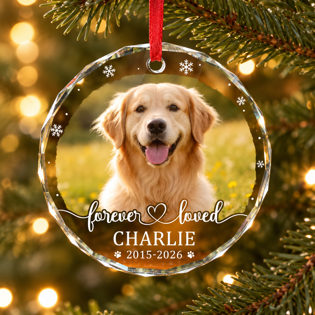 Custom photo pet memorial Forever Loved circle glass ornament on a Christmas tree