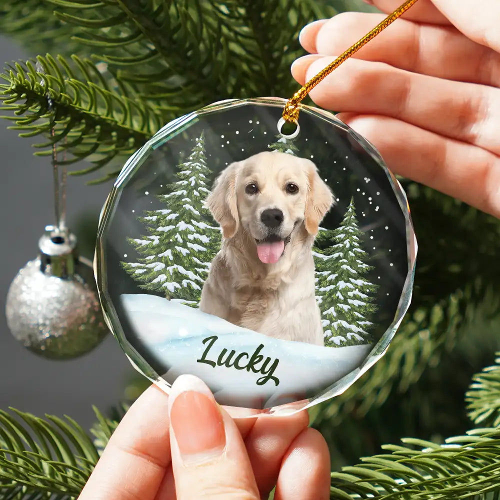 Custom Photo Pet Face personalized circle glass ornament, alternate view 3