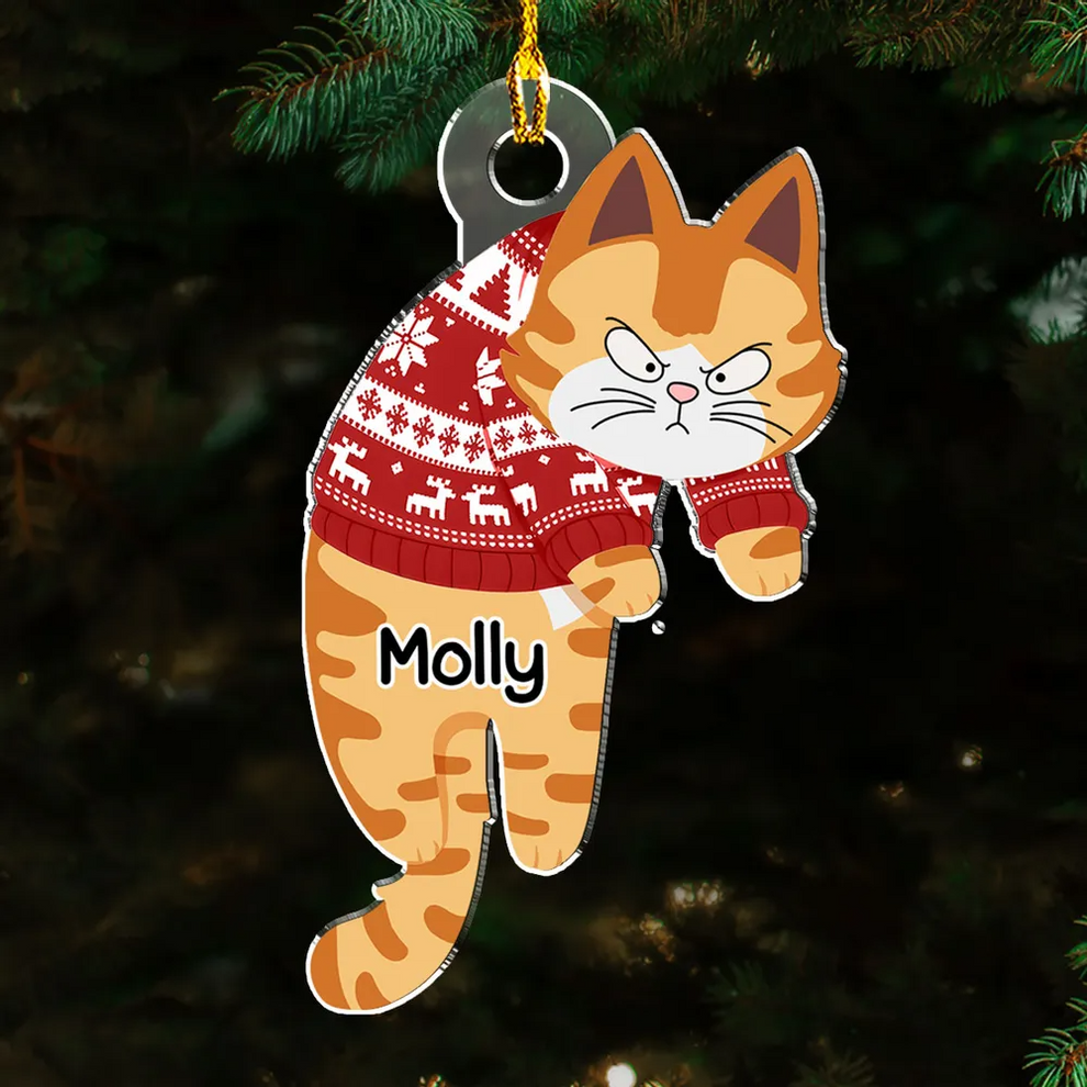 Hanging Cats personalized custom shaped acrylic ornament, main view