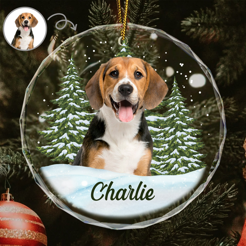Custom Photo Pet Face - Christmas Gift For Dog Lovers, Cat Lovers, Pet Lovers, Pet Memorial - Personalized Circle Glass Ornament 商品缩略图