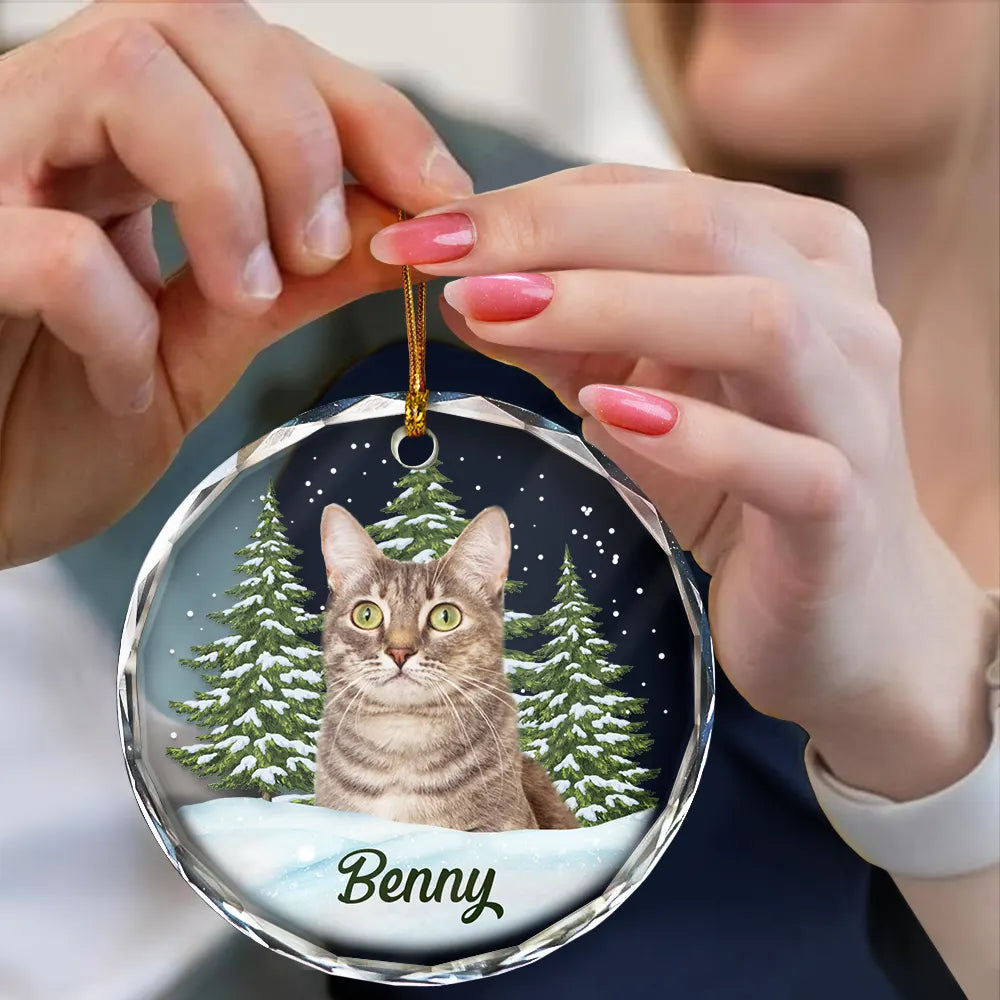 Custom Photo Pet Face personalized circle glass ornament, alternate view 4