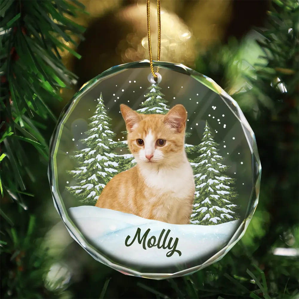 Custom Photo Pet Face personalized circle glass ornament, alternate view 5