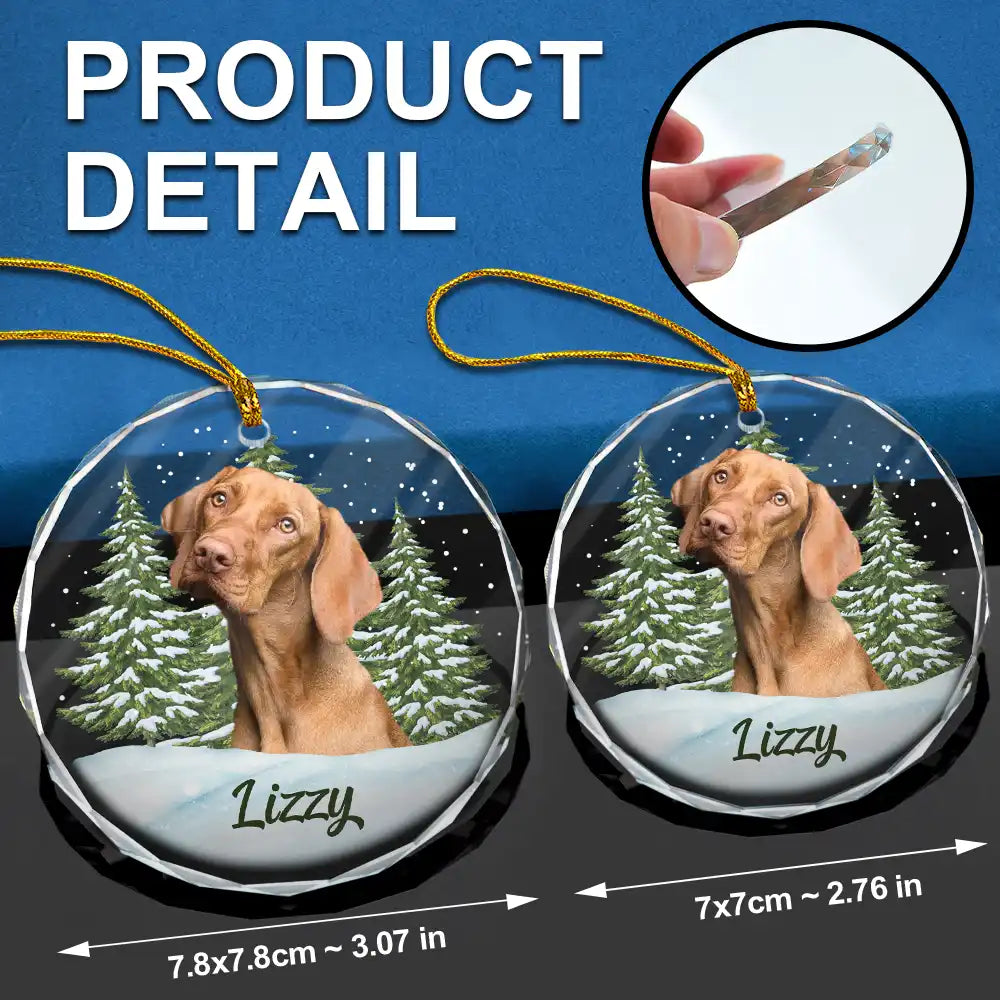 Custom Photo Pet Face personalized circle glass ornament, alternate view 7