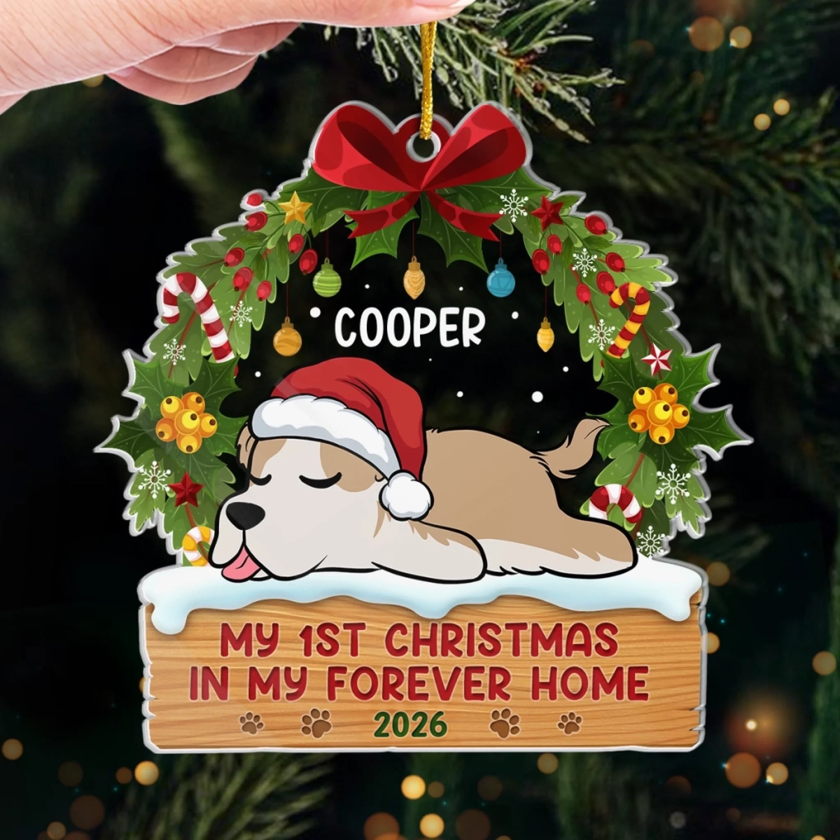 First Paws Under The Tree Dog & Cat - Personalized Custom Shaped Acrylic Ornament - Christmas Gift For Dog Lovers, Cat Lovers