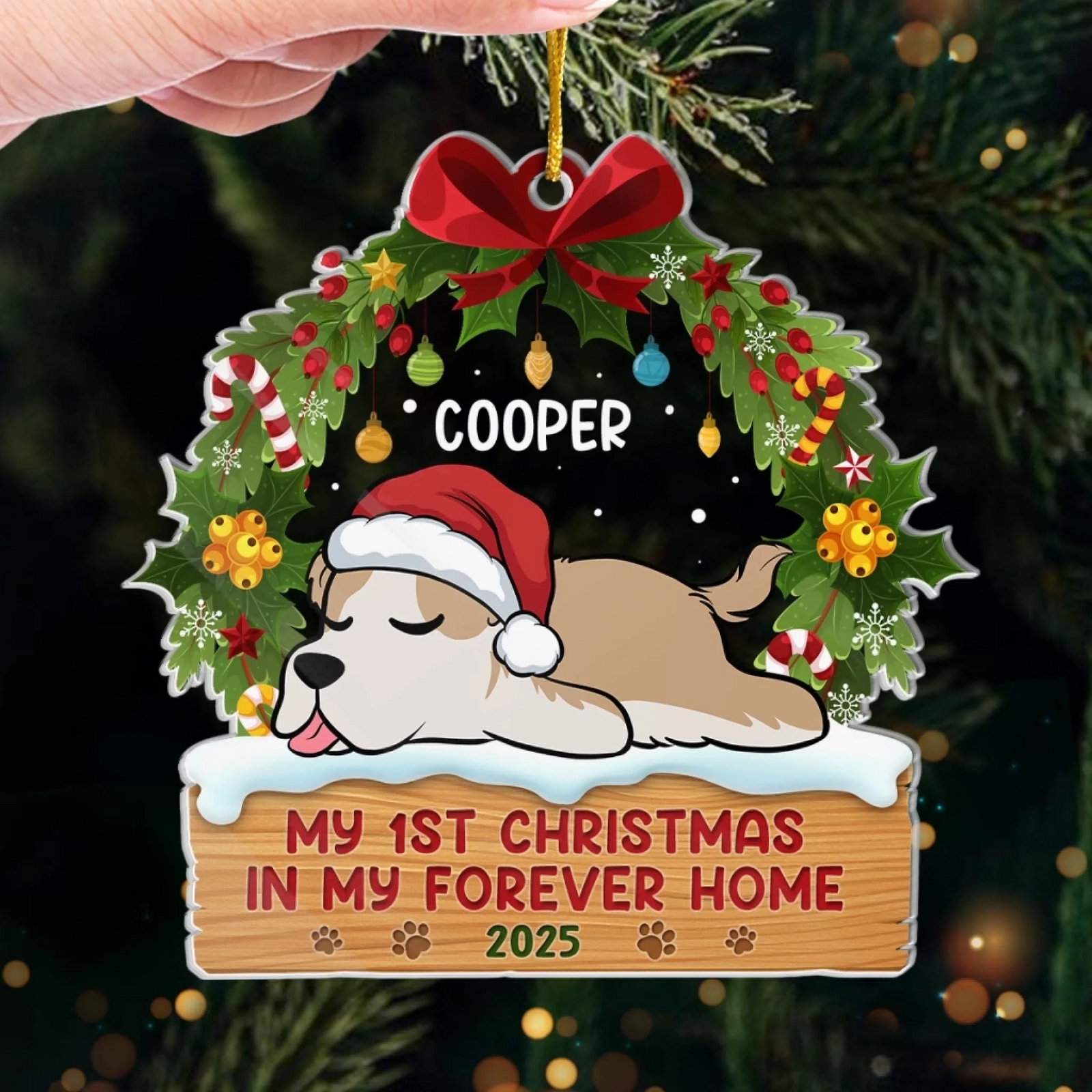 First Paws Under The Tree Dog & Cat - Personalized Custom Shaped Acrylic Ornament - Christmas Gift For Dog Lovers, Cat Lovers