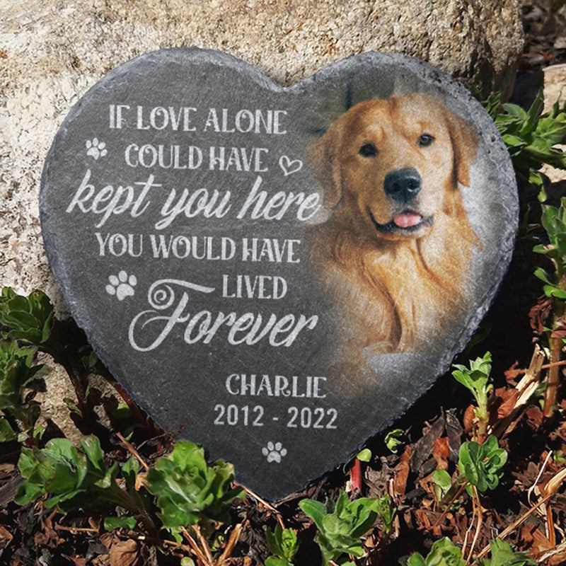 Custom Photo You Would Have Lived Pet Memorial - Personalized Heart Shaped Memorial Stone - Sympathy Gift For Pet Owners, Pet Lovers