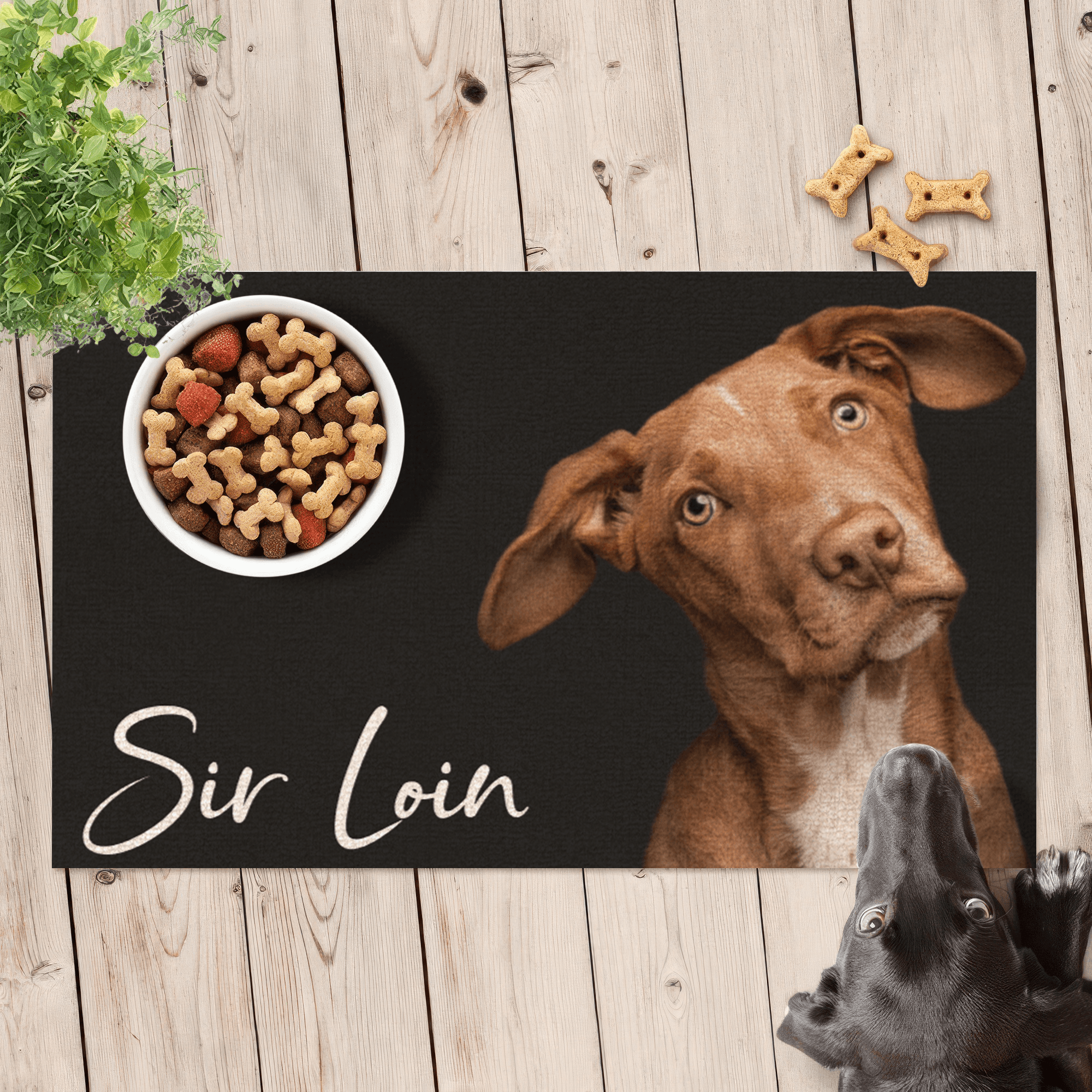 [Photo Inserted] Personalized Pet Food Mat With Photo - Personalized Doormat - Birthday, Housewarming, Funny Gift for Homeowners, Friends, Dog Mom, Dog Dad, Dog Lovers, Pet Gifts for Him, Her - Suzitee Store