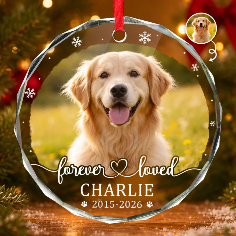 Custom Photo Pet Christmas Memorial Sympathy - Personalized Circle Glass Ornament - Sympathy Gift For Pet Owners, Pet Lovers