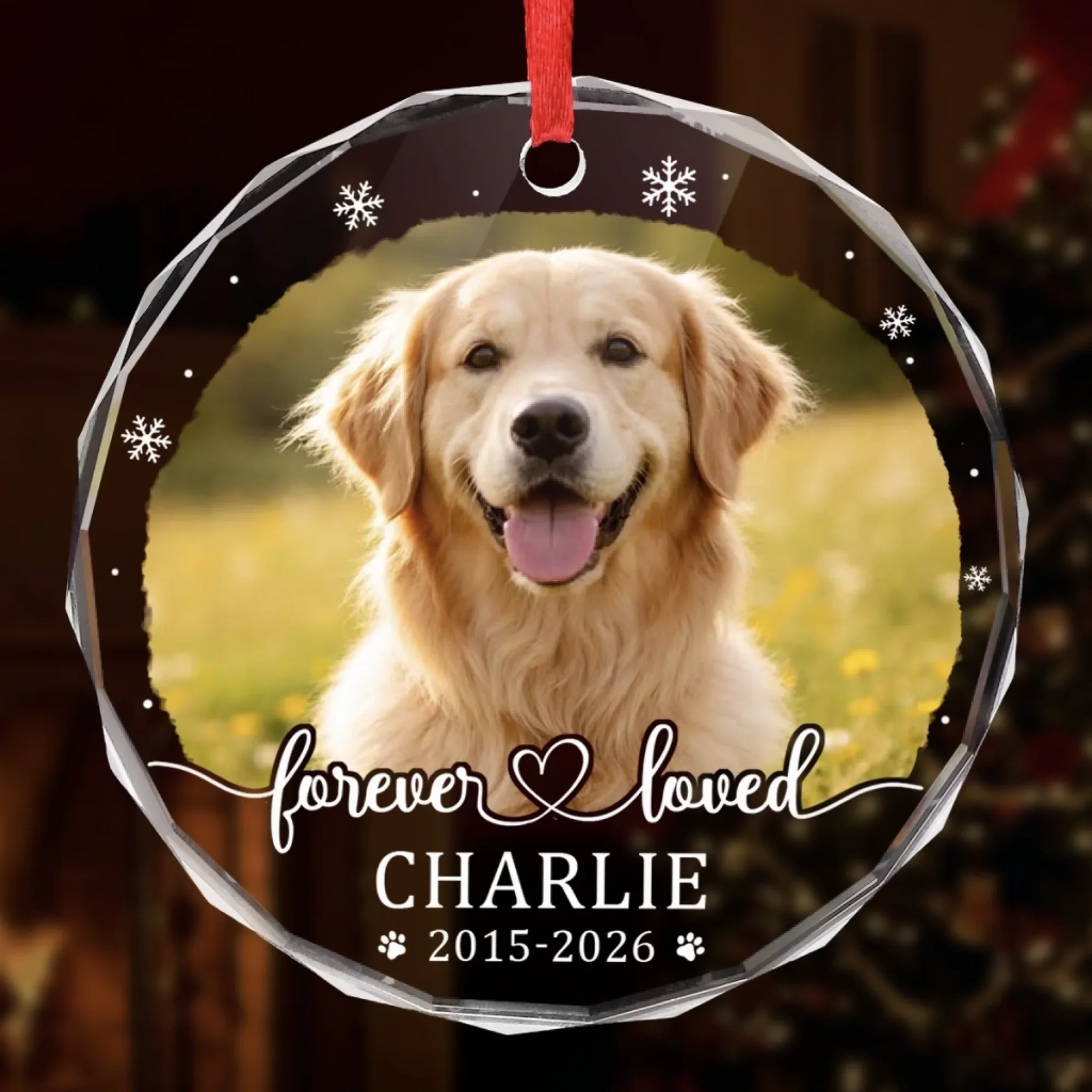 Custom Photo Pet Christmas Memorial Sympathy - Personalized Circle Glass Ornament - Sympathy Gift For Pet Owners, Pet Lovers