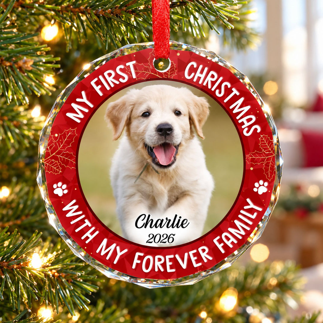 Personalized dog photo circle glass ornament hanging on a sunlit Christmas tree branch