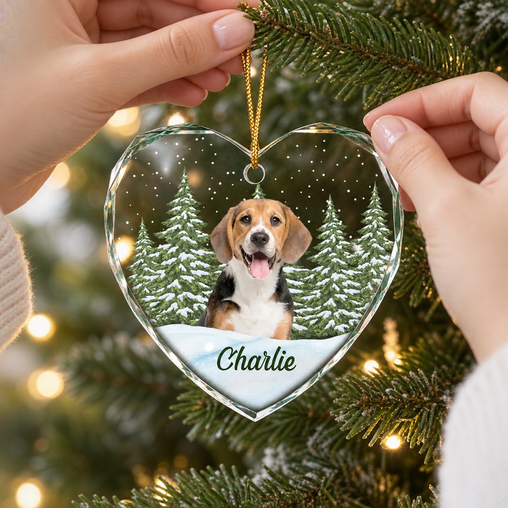 Custom pet photo heart glass ornament being hung on a Christmas tree branch