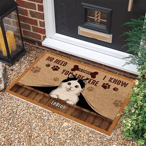 No need to knock We know you're here! - Personalized Doormat - Birthday, Housewarming, Funny Gift for Homeowners, Friends, Dog Mom, Dog Dad, Dog Lovers, Pet Gifts for Him, Her - Suzitee Store