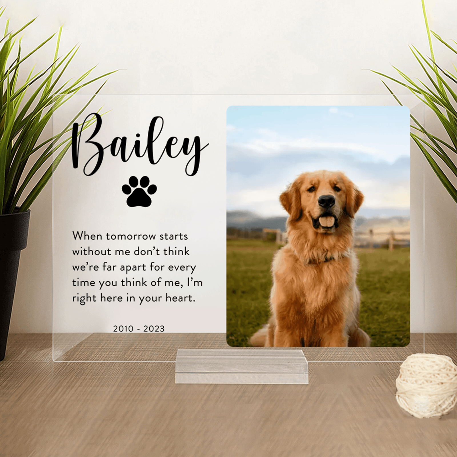 [Photo Inserted] Pet Memorial Plaque - Custom Horizontal Acrylic Plaque - Personalized Gifts for Pet Loss, Sympathy Gift for Cat, Dog and Any Other Animals - Suzitee Store