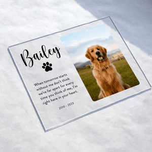 [Photo Inserted] Pet Memorial Plaque - Custom Horizontal Acrylic Plaque - Personalized Gifts for Pet Loss, Sympathy Gift for Cat, Dog and Any Other Animals - Suzitee Store