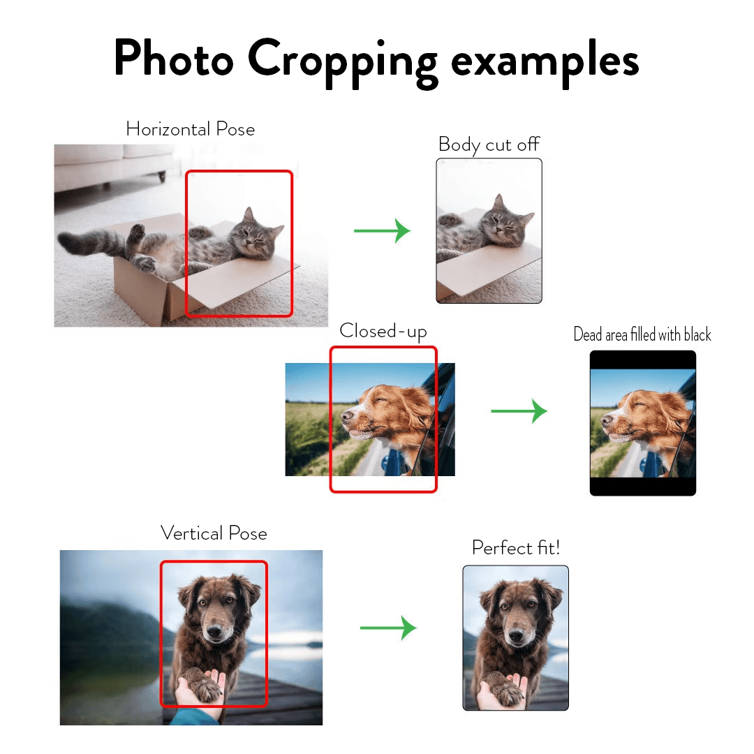 [Photo Inserted] Pet Memorial Plaque - Custom Horizontal Acrylic Plaque - Personalized Gifts for Pet Loss, Sympathy Gift for Cat, Dog and Any Other Animals - Suzitee Store