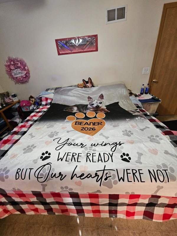 Customer photo from Julie E. - 5-star review